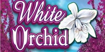 Slot Brand Image for White Orchid