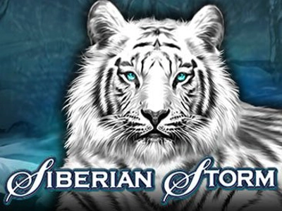 Slot Brand Image for Siberian Storm